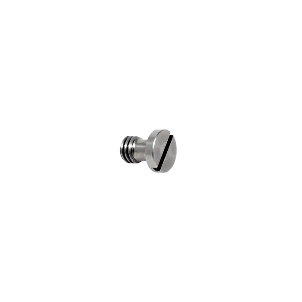 Bridgeplate Screw