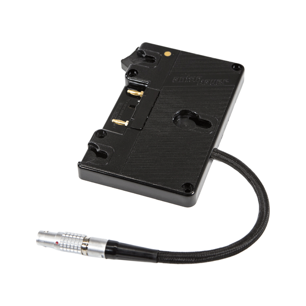 WC Gold Mount (DSMC1™/DSMC2™)