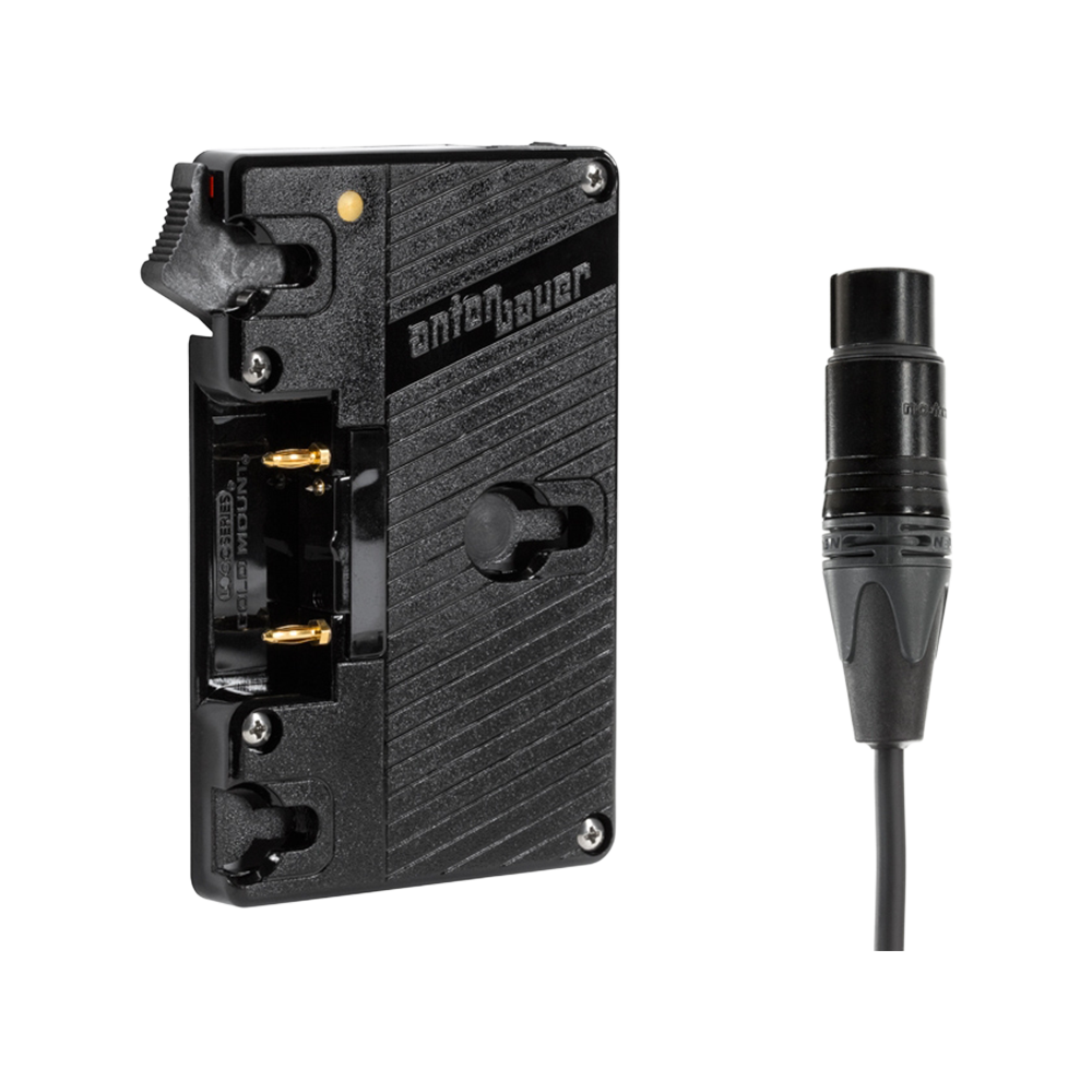 WC Gold Mount (XLR 4 Pin)