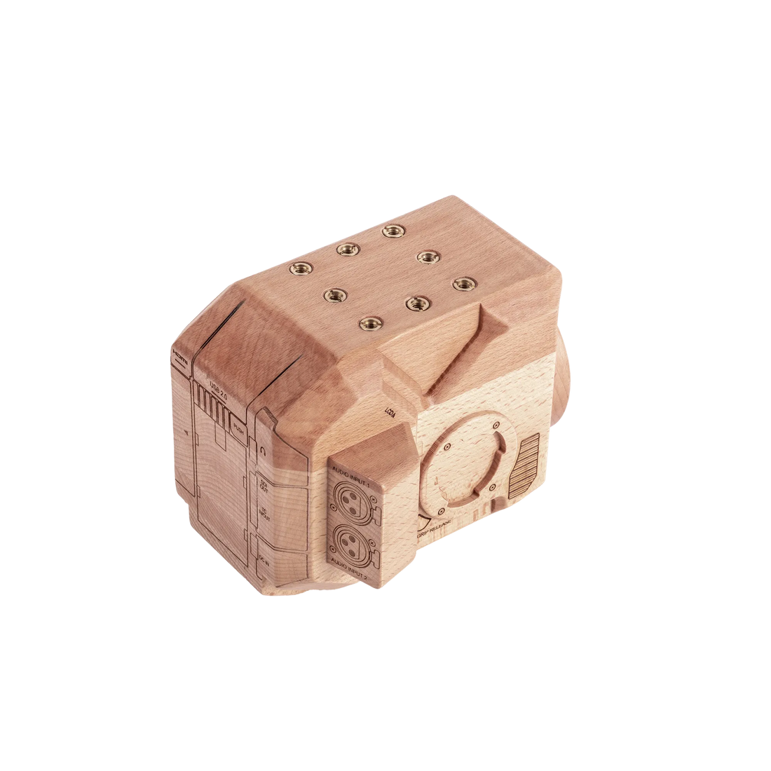 Wood Panasonic EVA1 Model