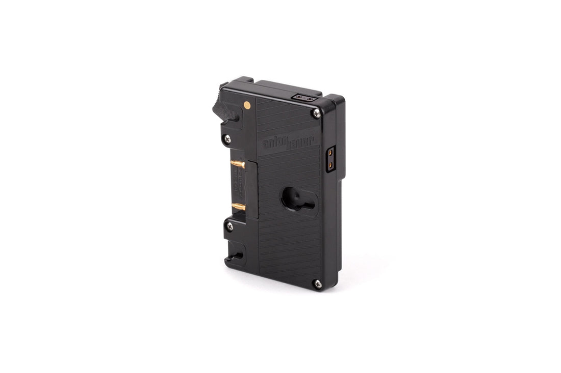 Low Mode Gold Mount Adapter
