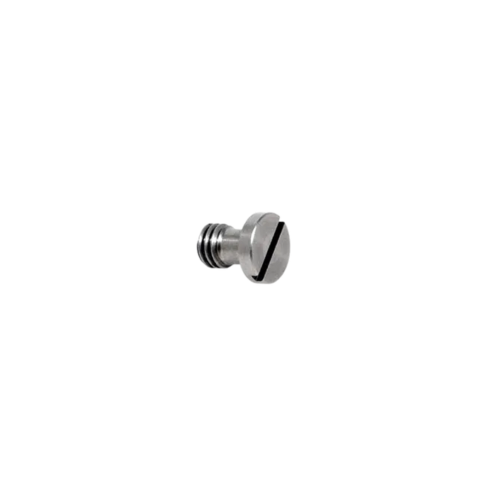Bridgeplate Screw