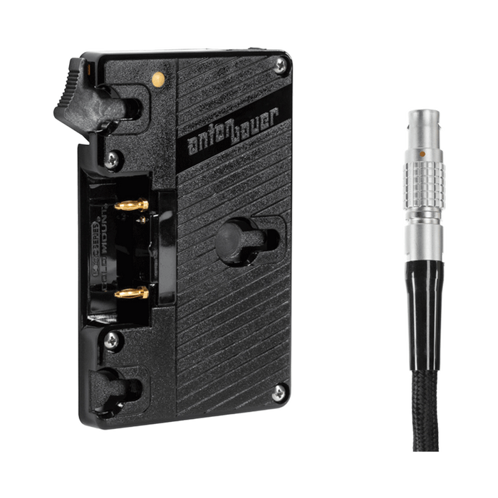 WC Gold Mount (DSMC1™/DSMC2™)