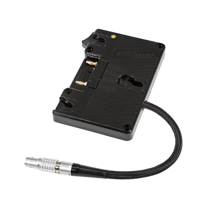 WC Gold Mount (DSMC1™/DSMC2™)