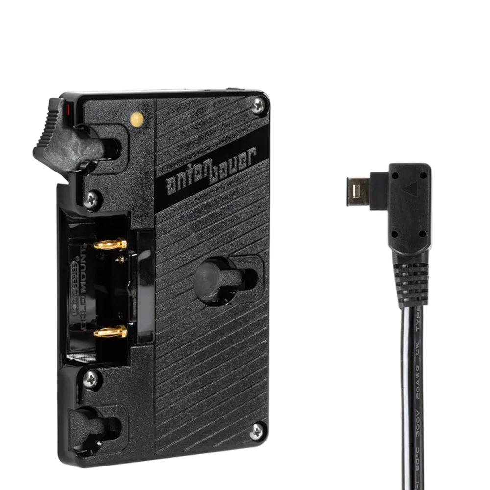 WC Gold Mount (FS700)