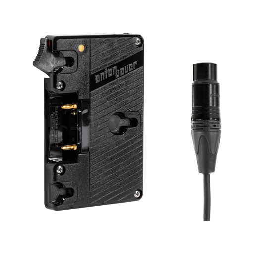 WC Gold Mount (XLR 4 Pin)