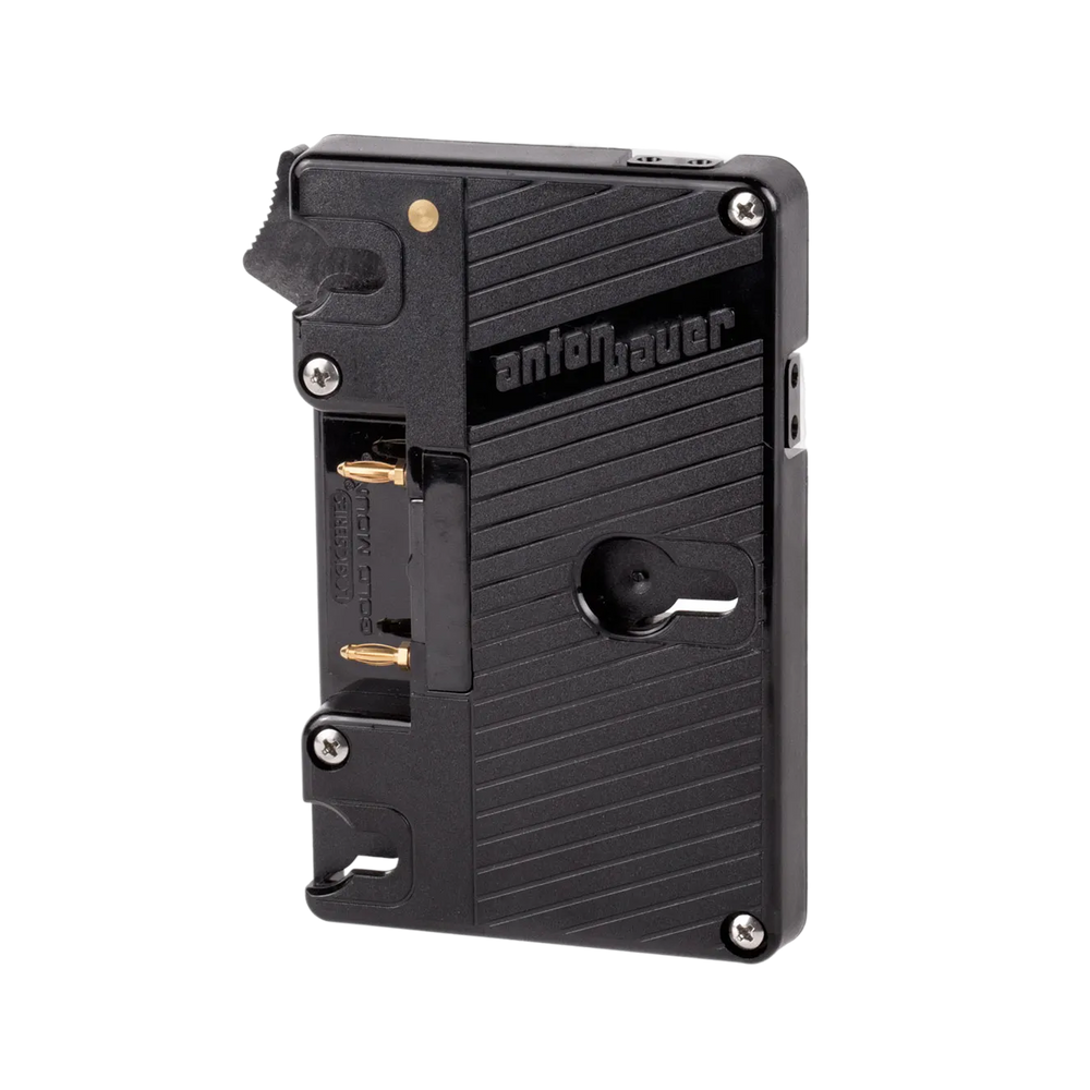 WC Gold Mount (Dual D-Tap)