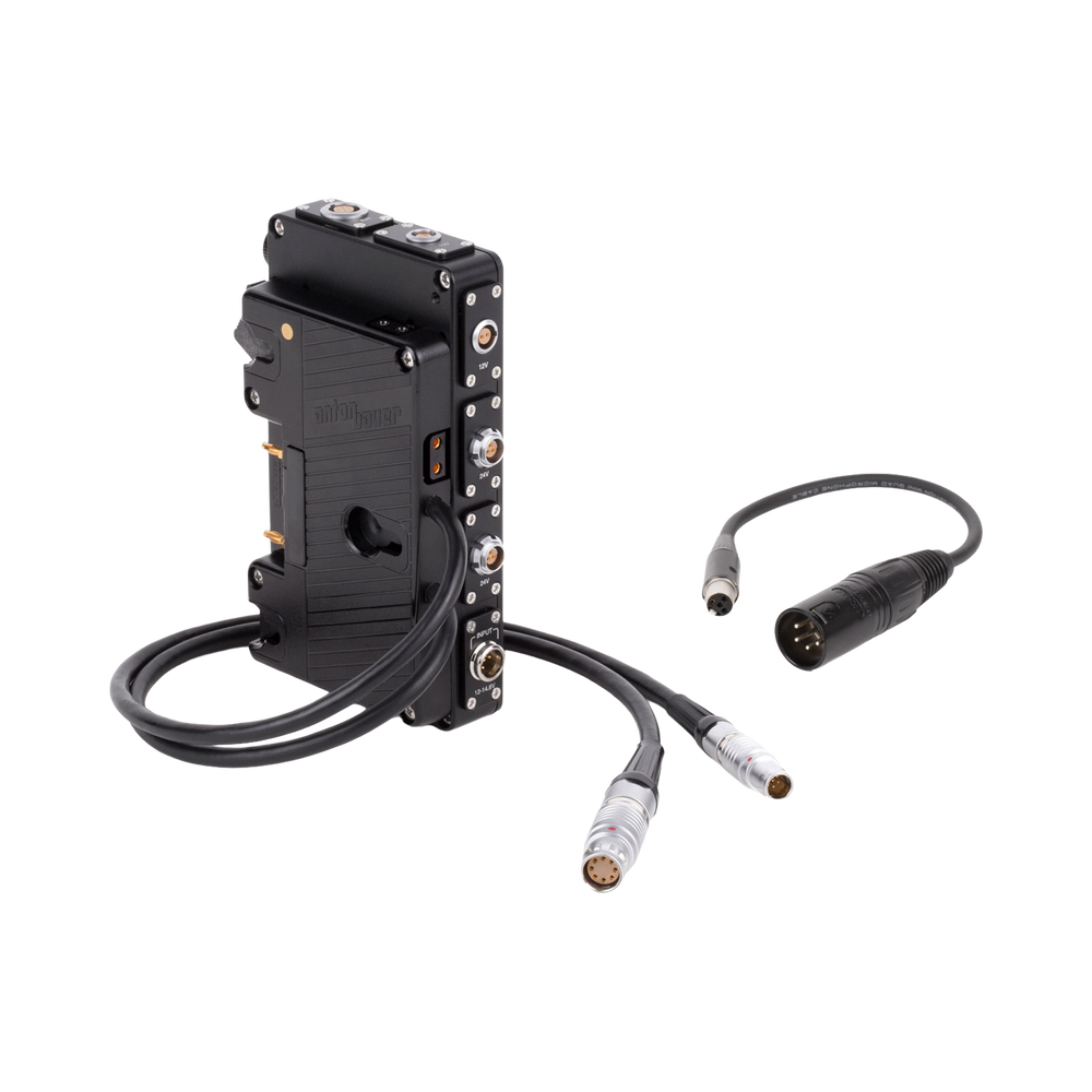 D-Box® (ALEXA Mini / Mini LF, Gold Mount)