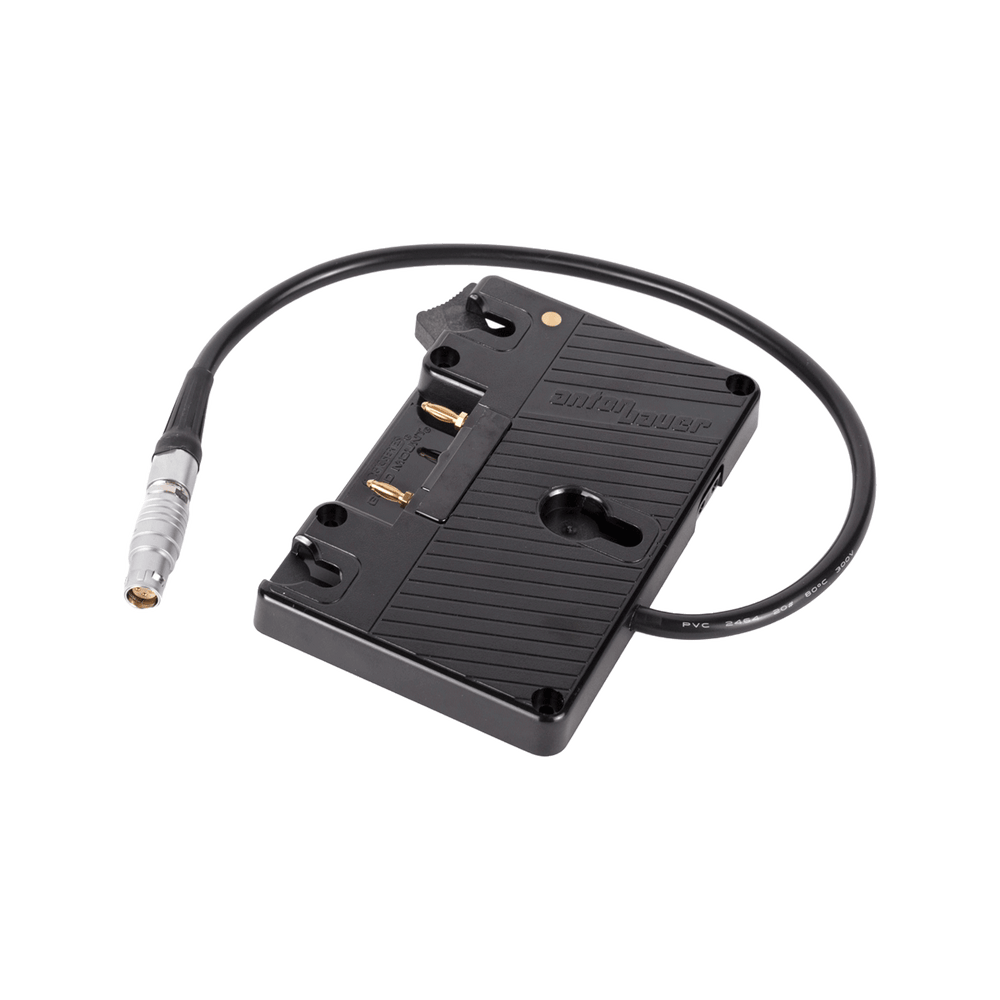 WC Gold Mount (C300mkII, C200, C200B) - Refurbished