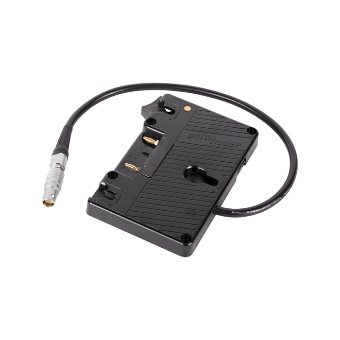 WC Gold Mount (C300mkII, C200, C200B) - Refurbished