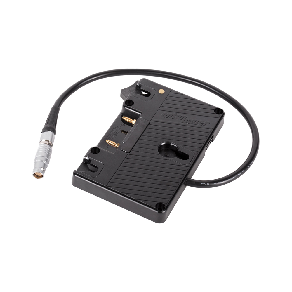 WC Gold Mount (C300mkII, C200, C200B)