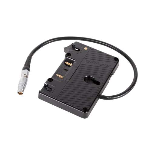 WC Gold Mount (C300mkII, C200, C200B)