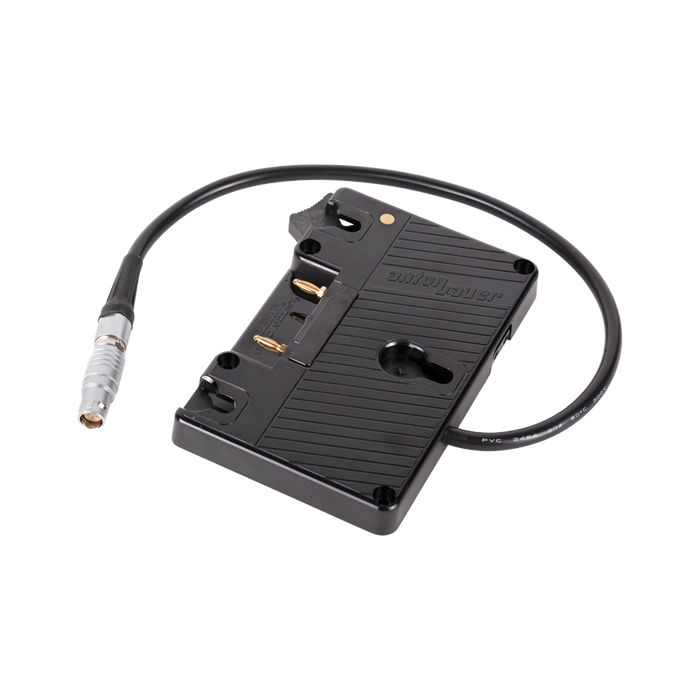 WC Gold Mount (C300mkII, C200, C200B)