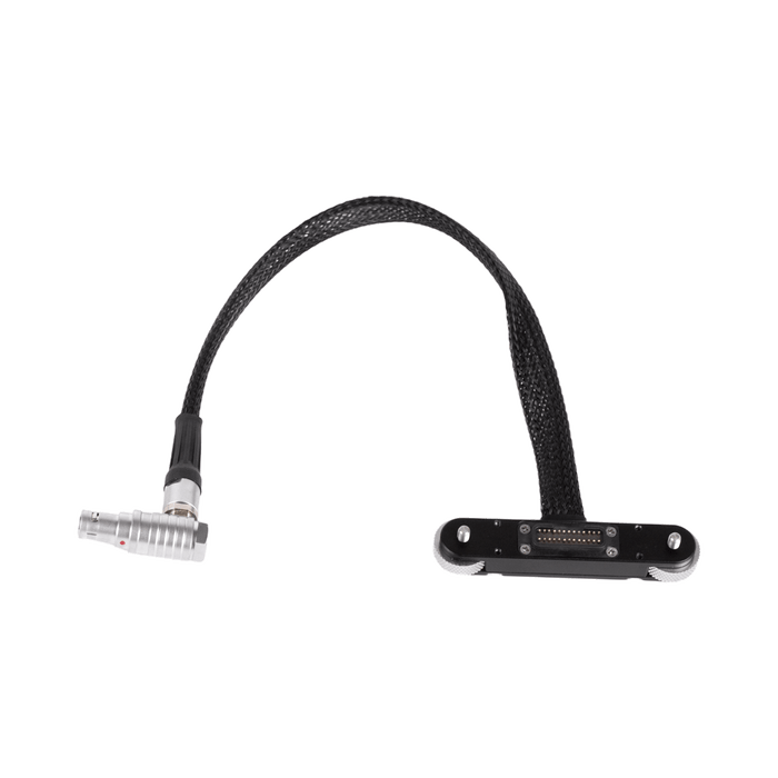 RED® Male Pogo to Male LCD/EVF Cable (12in/30cm, RED® DSMC2™)