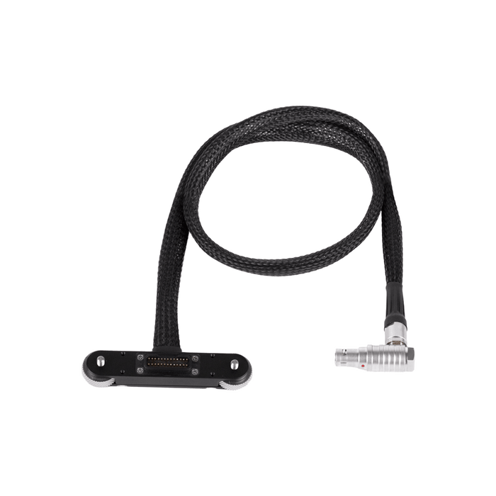 RED® Male Pogo to Male LCD/EVF Cable (24in/61cm, RED® DSMC2™)