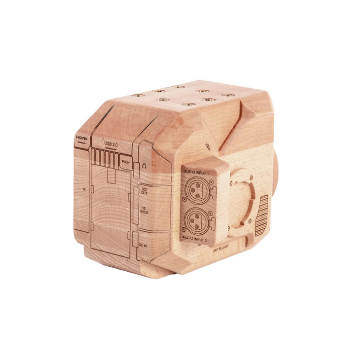 Wood Panasonic EVA1 Model