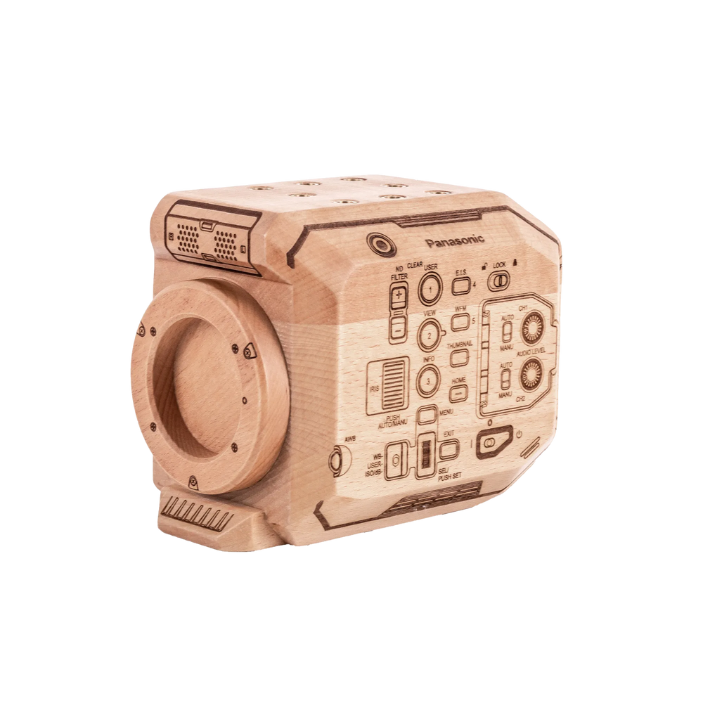 Wood Panasonic EVA1 Model