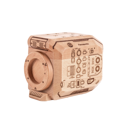 Wood Panasonic EVA1 Model