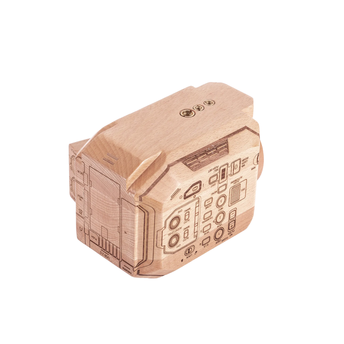 Wood Panasonic EVA1 Model