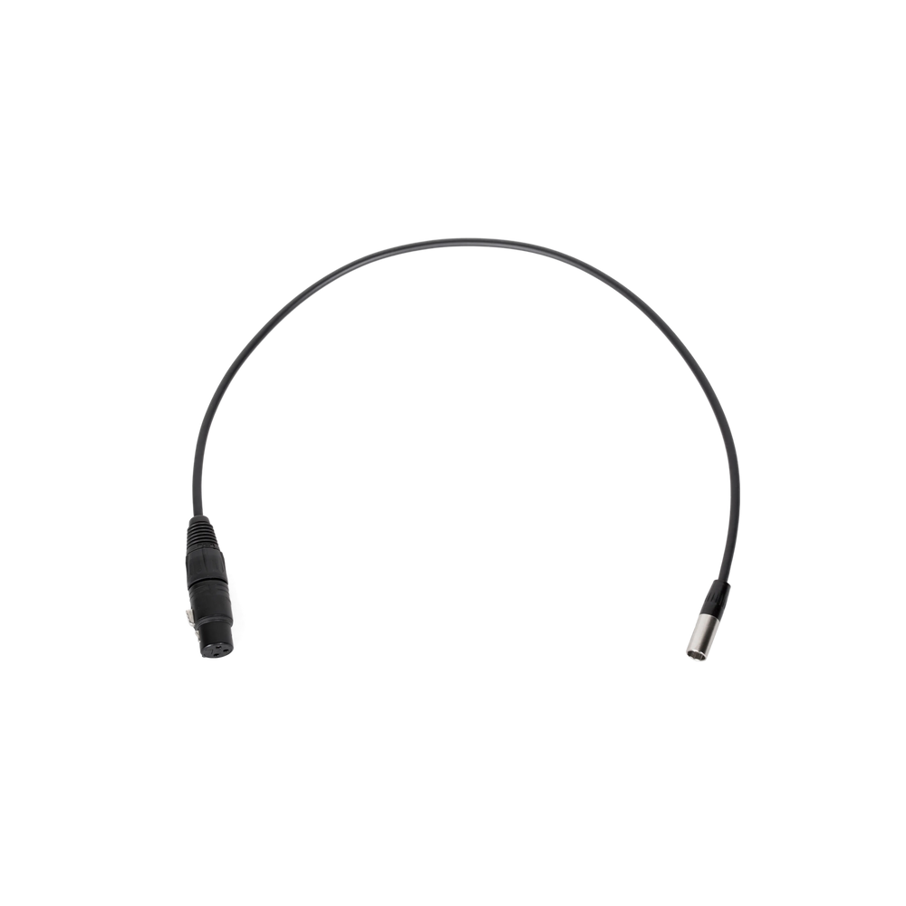 Mini 3pin XLR Male to Full 3pin XLR Female (20")