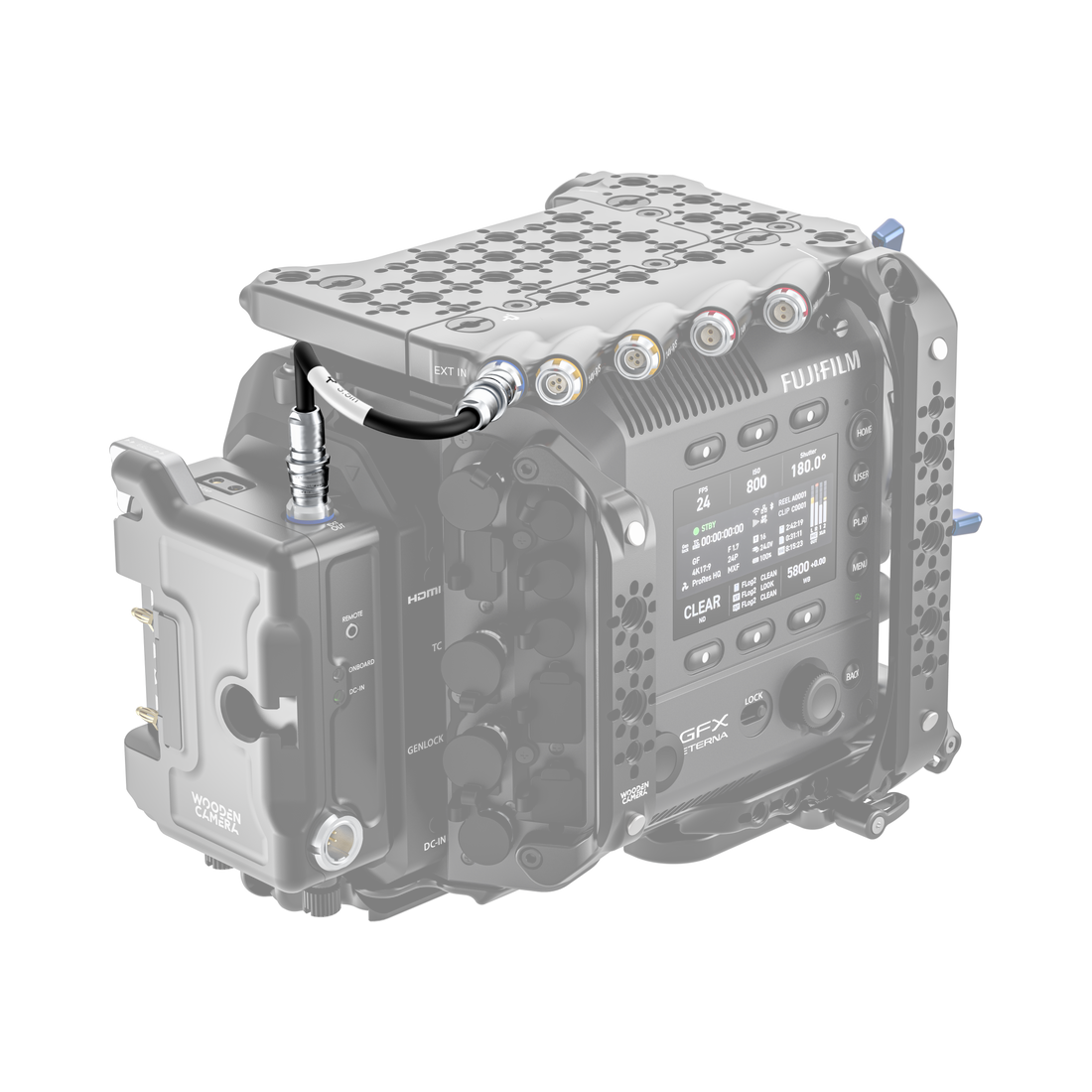 fujifilm eterna 55 back of camera body with d-box link cable installed