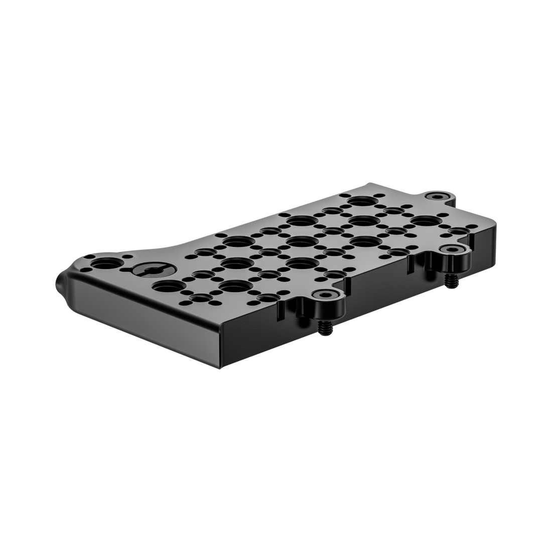 fujifilm eterna 55 back angle of rear top plate extension