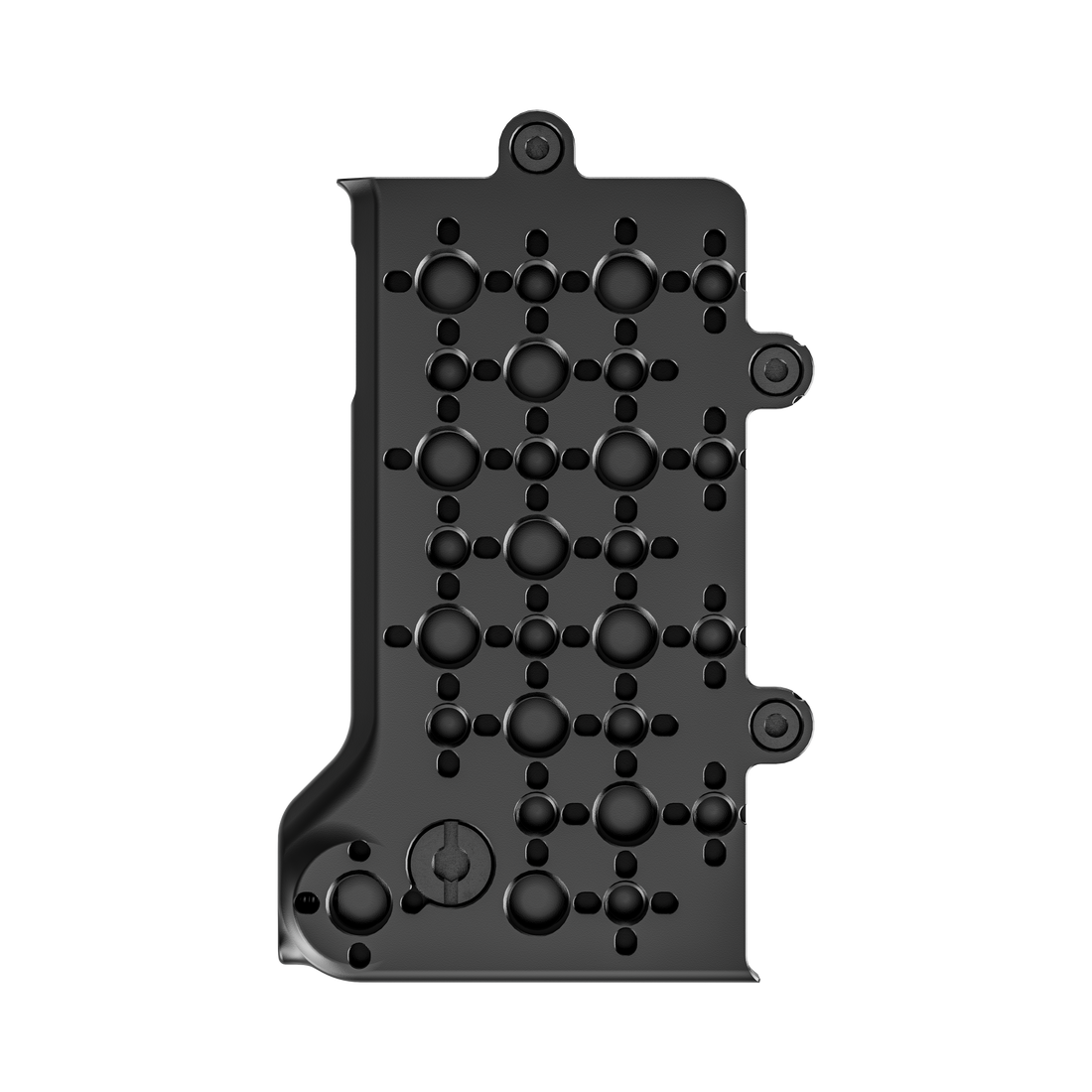 fujifilm eterna 55 top of rear top plate extension