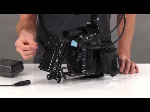 D-Box (C200, C200B, C300mkII, Gold Mount) – Wooden Camera