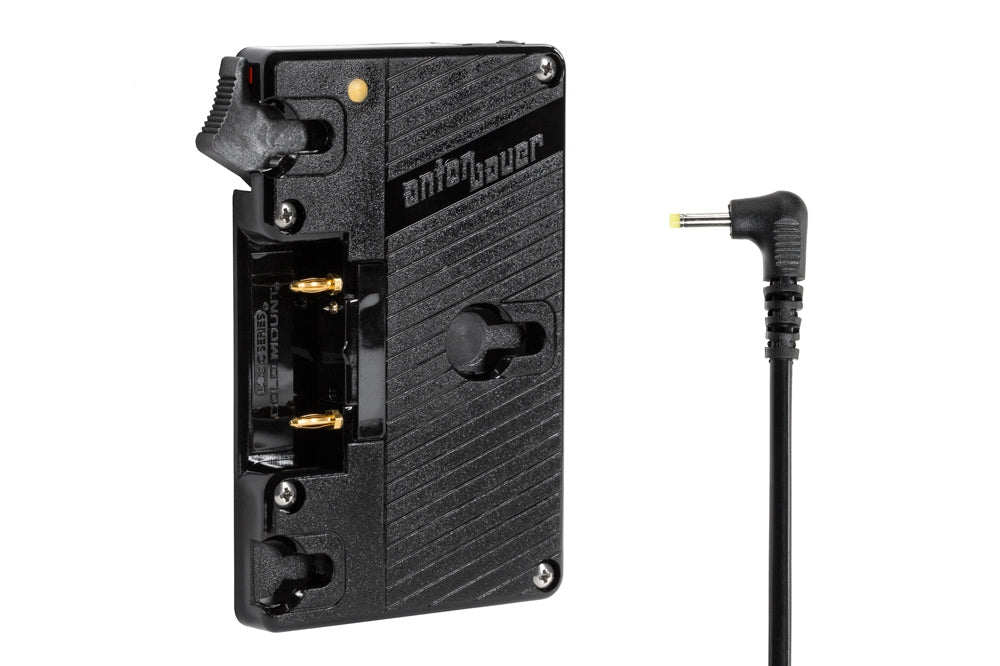 WC Gold Mount (Pocket)
