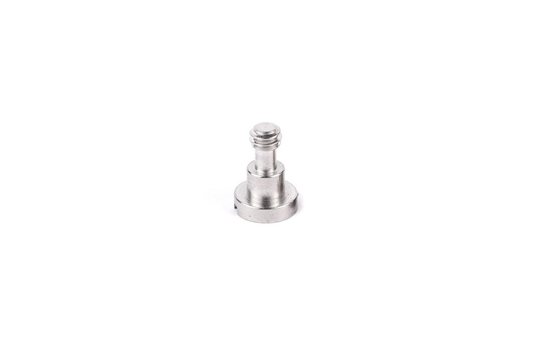 Unified Bridgeplate Screw (1/4-20)