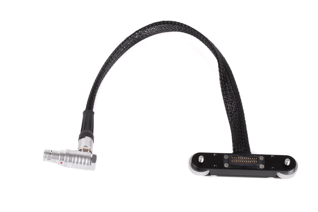 RED® Male Pogo to Male LCD/EVF Cable (12in/30cm, RED® DSMC2™)